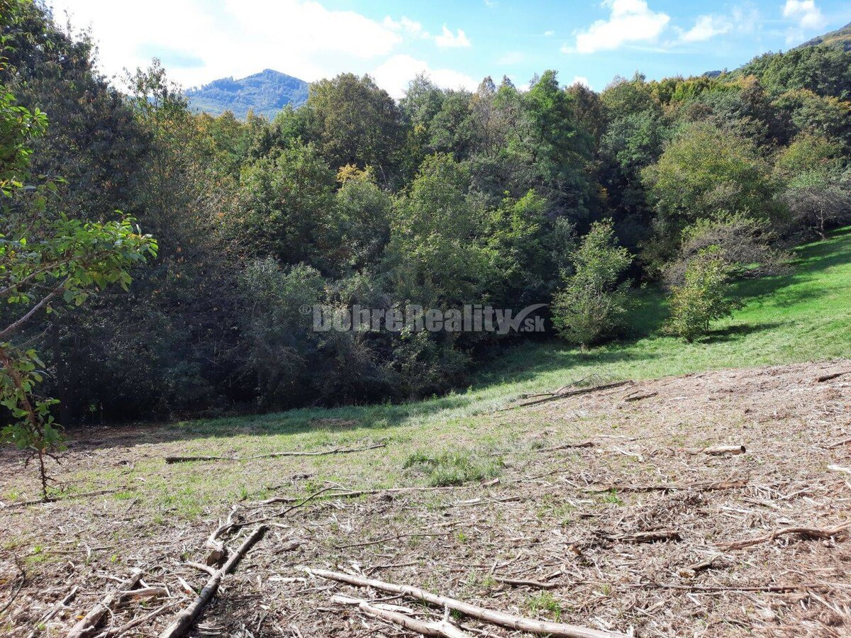 Pozemok pre výstavbu rodinného domu, 820 m2, Nová Baňa - Viničná cesta — foto 9