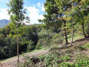Pozemok pre výstavbu rodinného domu, 820 m2, Nová Baňa - Viničná cesta — foto 8