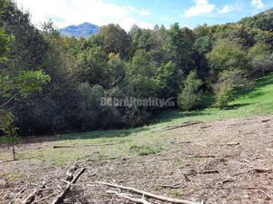 Pozemok pre výstavbu rodinného domu, 820 m2, Nová Baňa - Viničná cesta — foto 9
