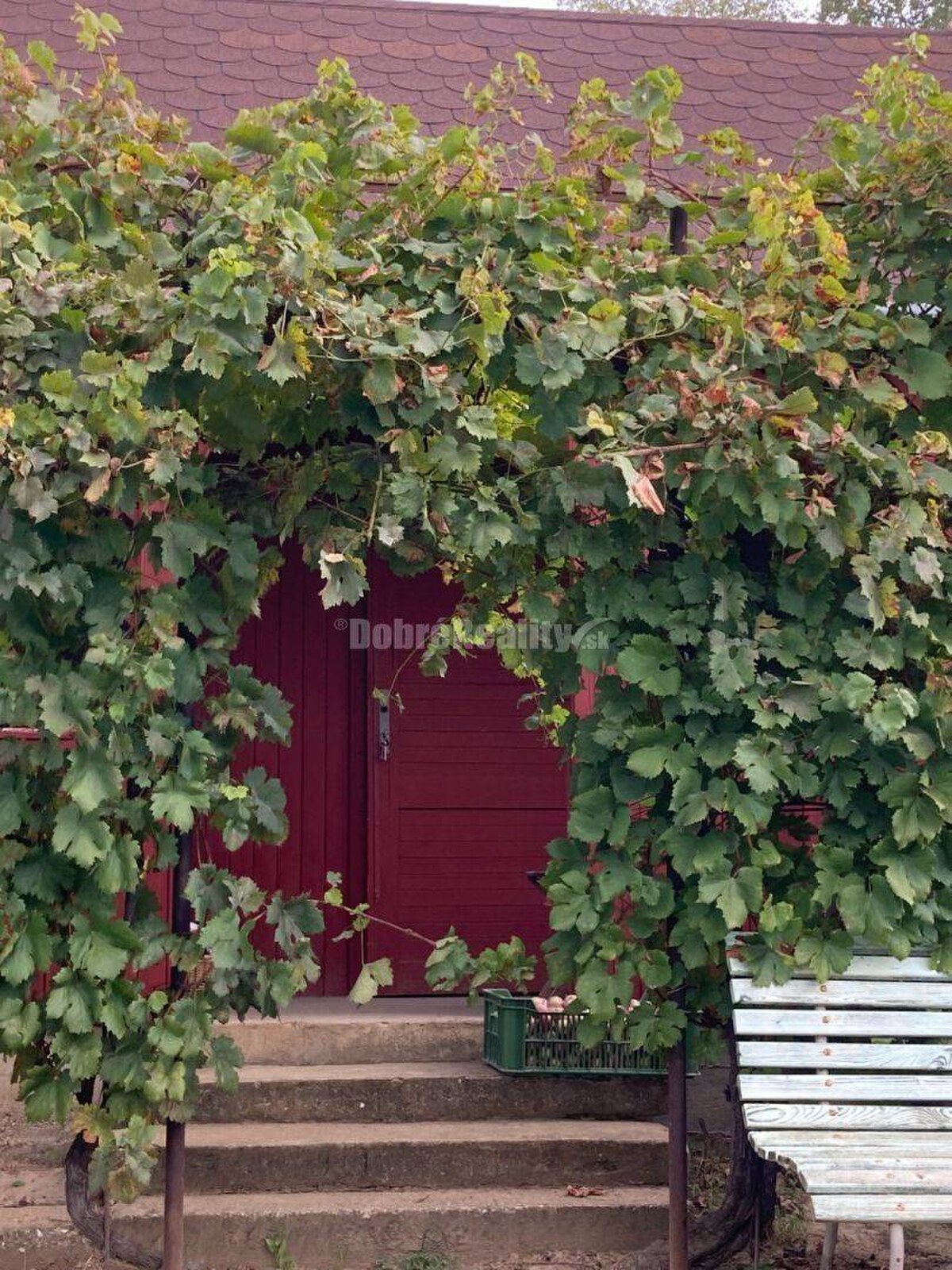 Dobré reality - predaj záhrady v malou chatkou a vinicou — foto 4