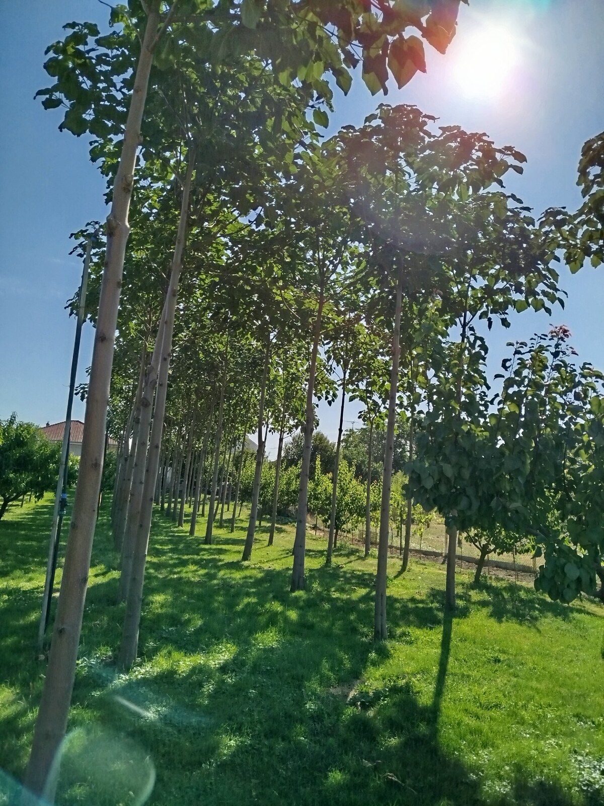 Pozemok Branovo — foto 2