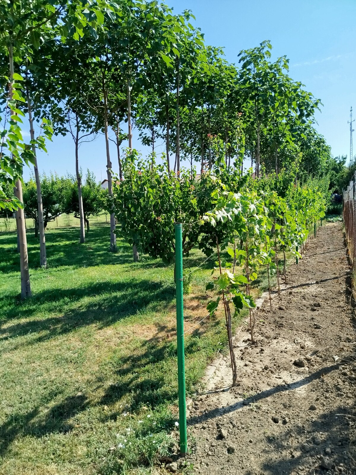 Pozemok Branovo — foto 3