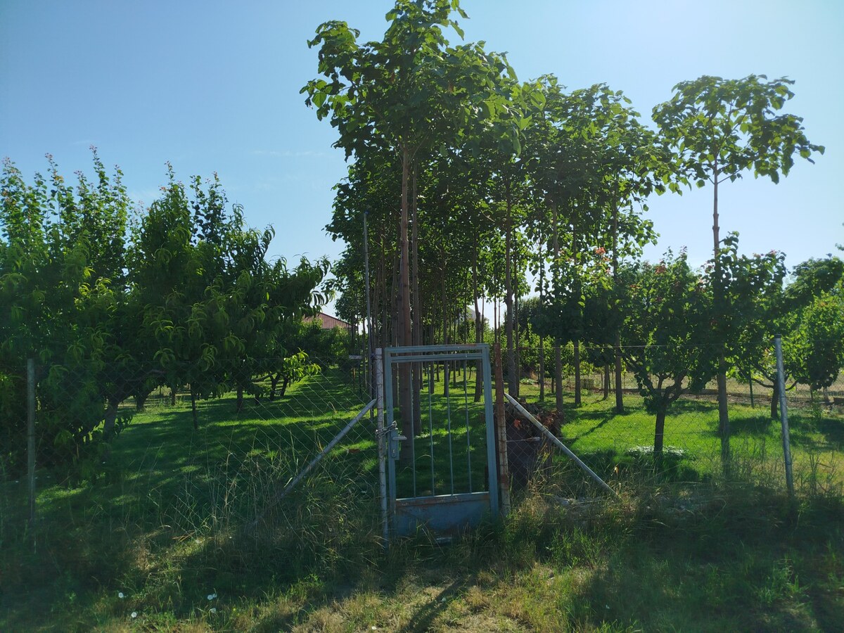 Pozemok Branovo — foto 4