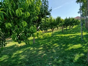Pozemok Branovo — foto 1