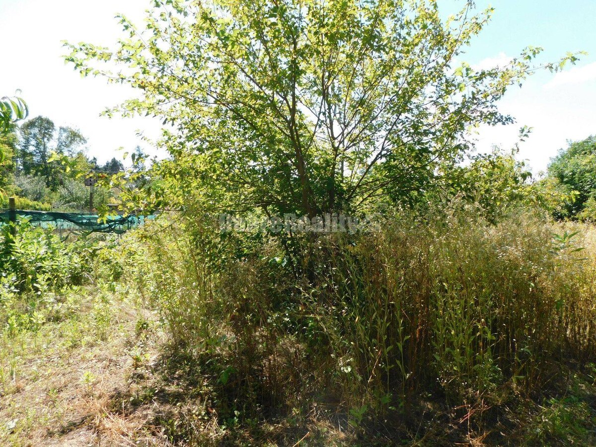 Ponúkame Vám na predaj útulný 4-izb. rodinný dom v obci Gbelce. — foto 17