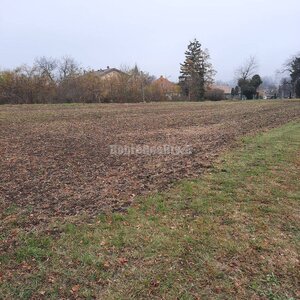 Predaj stavebného pozemku v obci Farná, Levice — foto 1