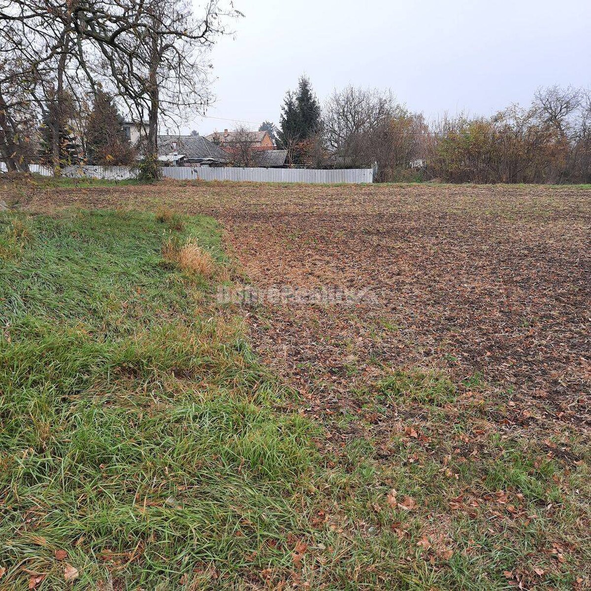 Predaj stavebného pozemku v obci Farná, Levice