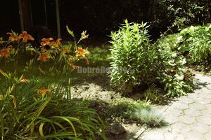 DOBRÉ REALITY - Sympatická rekreačná chatka so záhradou na predaj — foto 3