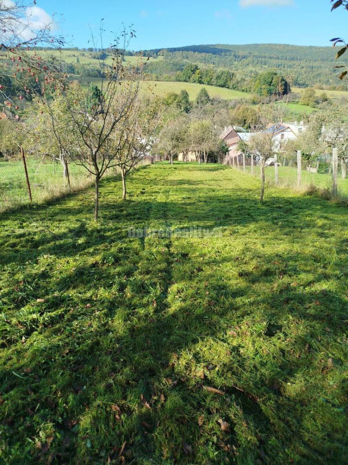 Rodinný  dom s veľkým pozemkom v tichom a krásnom prostredí pod Považs — foto 6