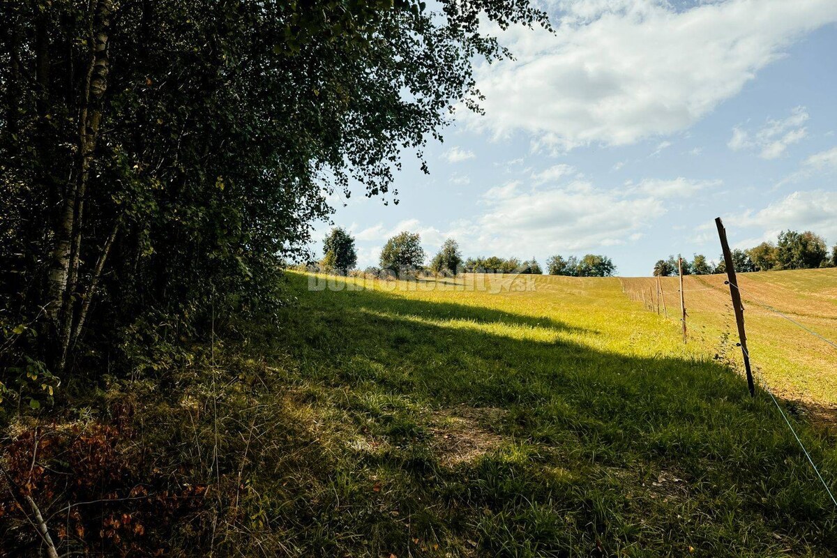 PREDAJ: Pozemok s výhľadmi, 4607 m2, Detvianska Huta - Vrchdobroč, okr — foto 3
