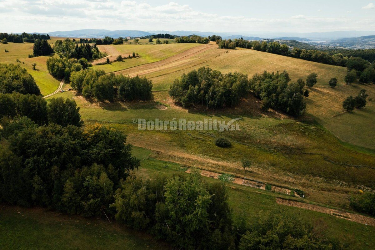 PREDAJ: Pozemok s potokom a hájom, 2587 m2, Detvianska Huta - Vrchdobr — foto 12