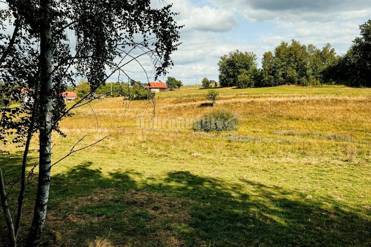 PREDAJ: Pozemok s potokom a hájom, 2587 m2, Detvianska Huta - Vrchdobr — foto 3