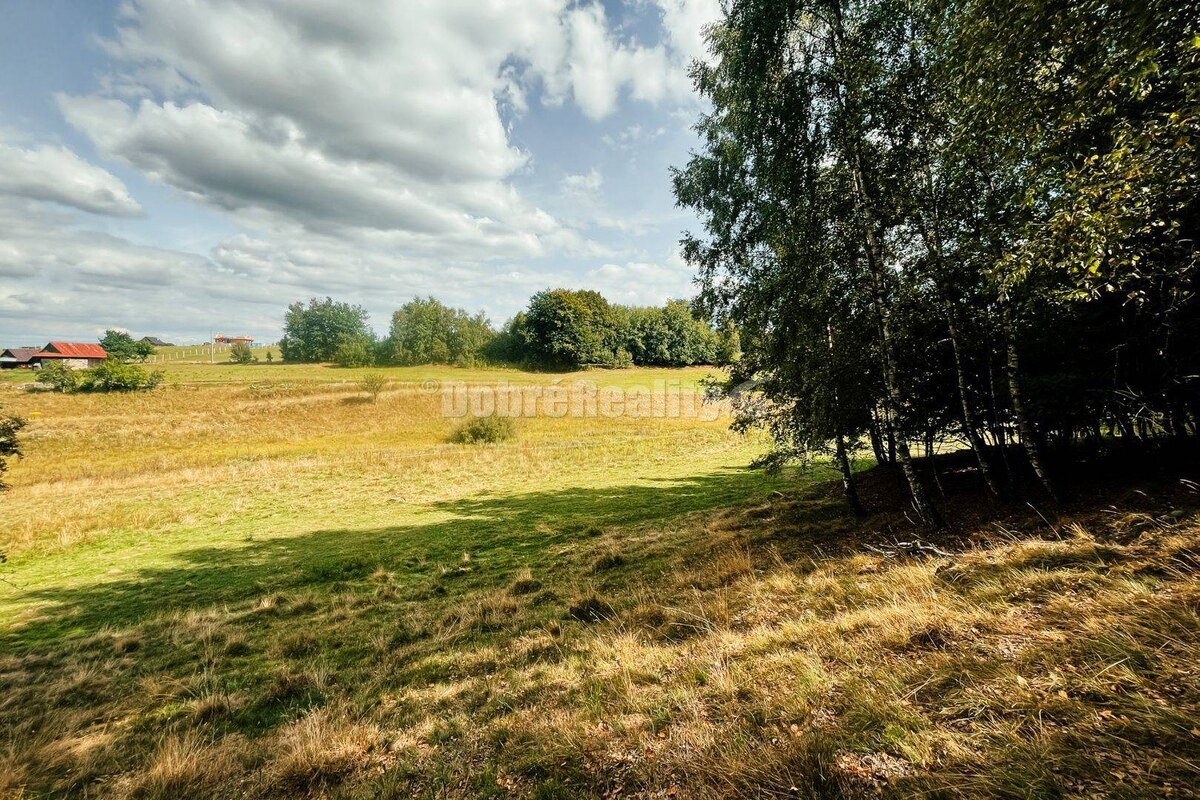 PREDAJ: Pozemok s potokom a hájom, 2587 m2, Detvianska Huta - Vrchdobr — foto 4