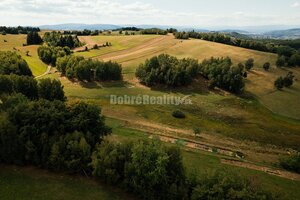 PREDAJ: Pozemok s potokom a hájom, 2587 m2, Detvianska Huta - Vrchdobr — foto 12