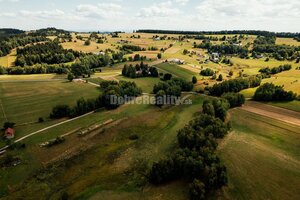 PREDAJ: Pozemok s potokom a hájom, 2587 m2, Detvianska Huta - Vrchdobr — foto 14