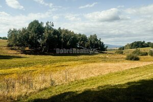 PREDAJ: Pozemok s potokom a hájom, 2587 m2, Detvianska Huta - Vrchdobr — foto 6