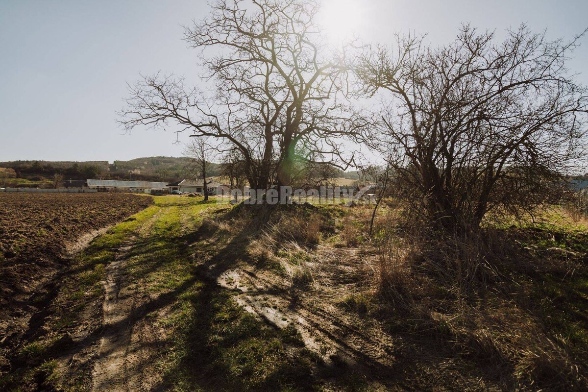 PREDAJ: Pozemok pre výstavbu menšieho rodinného domu, 764 m2, Veľká Lú — foto 4