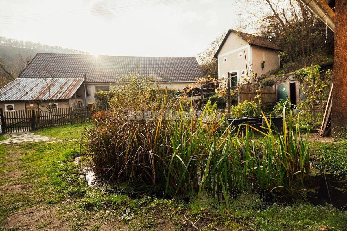 Rodinný dom so záhradou a historickým mlynom, 90 m2, Medovarce — foto 9