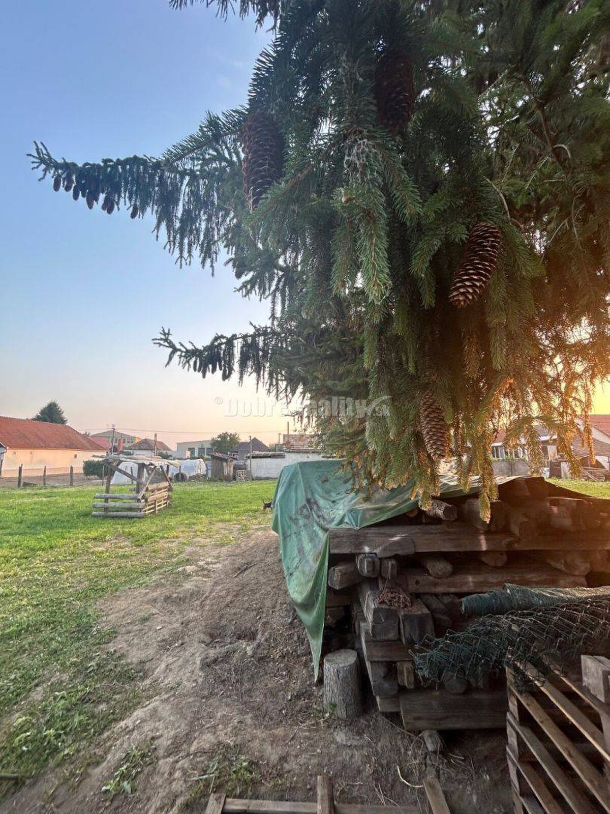 Exkluzívne, pozemok pri Váhu s malou chalúpkou, murovanou pecou a pivn — foto 11