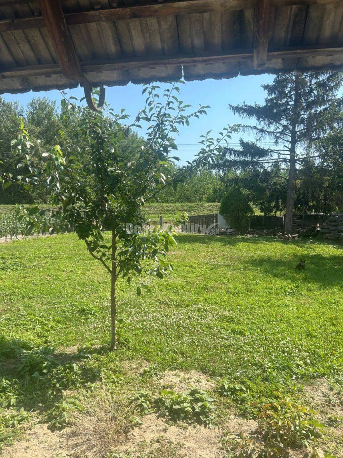 Exkluzívne, pozemok pri Váhu s malou chalúpkou, murovanou pecou a pivn — foto 3