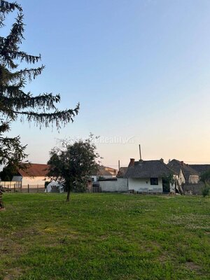 Exkluzívne, pozemok pri Váhu s malou chalúpkou, murovanou pecou a pivn — foto 10
