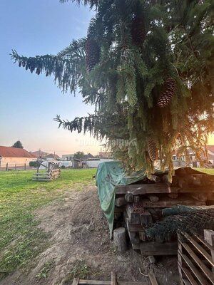 Exkluzívne, pozemok pri Váhu s malou chalúpkou, murovanou pecou a pivn — foto 11