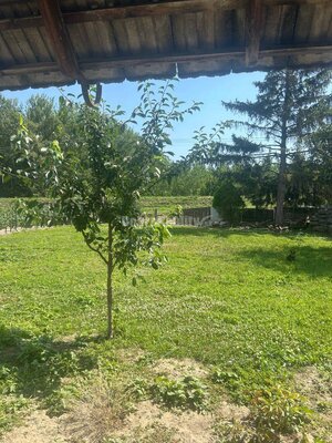 Exkluzívne, pozemok pri Váhu s malou chalúpkou, murovanou pecou a pivn — foto 3