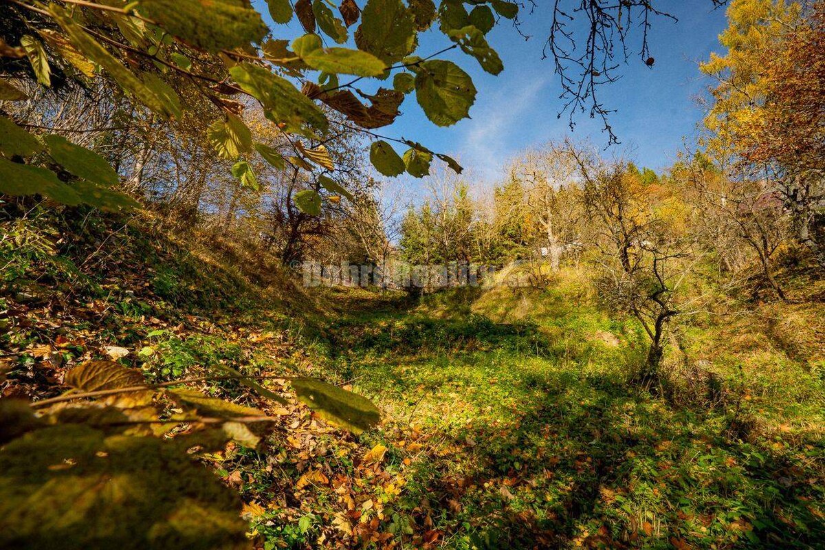 Tajuplná záhrada s jazierkom a banským potôčikom, 1927 m2, Špania Doli — foto 10