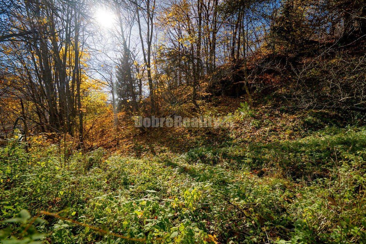 Tajuplná záhrada s jazierkom a banským potôčikom, 1927 m2, Špania Doli — foto 12