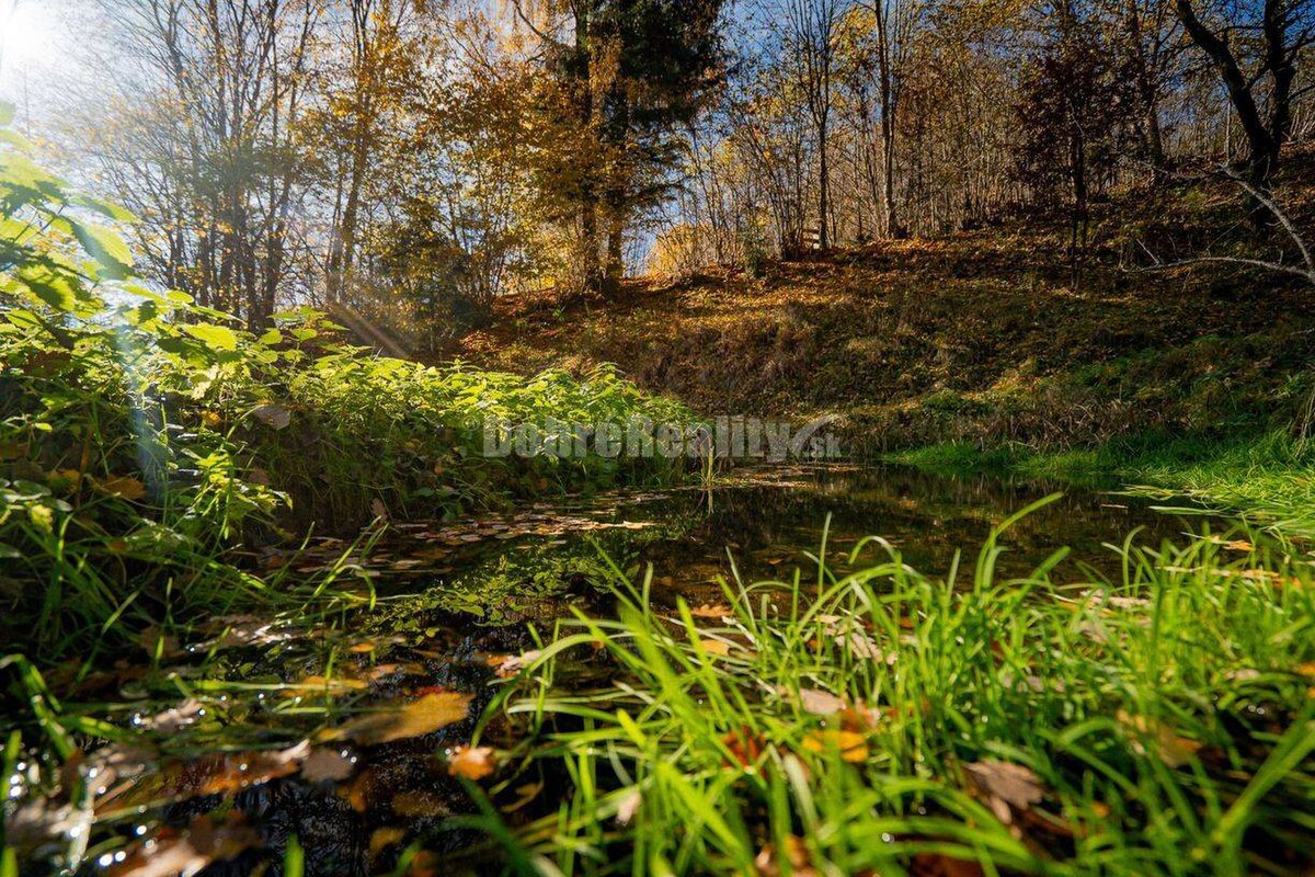 Tajuplná záhrada s jazierkom a banským potôčikom, 1927 m2, Špania Doli — foto 13