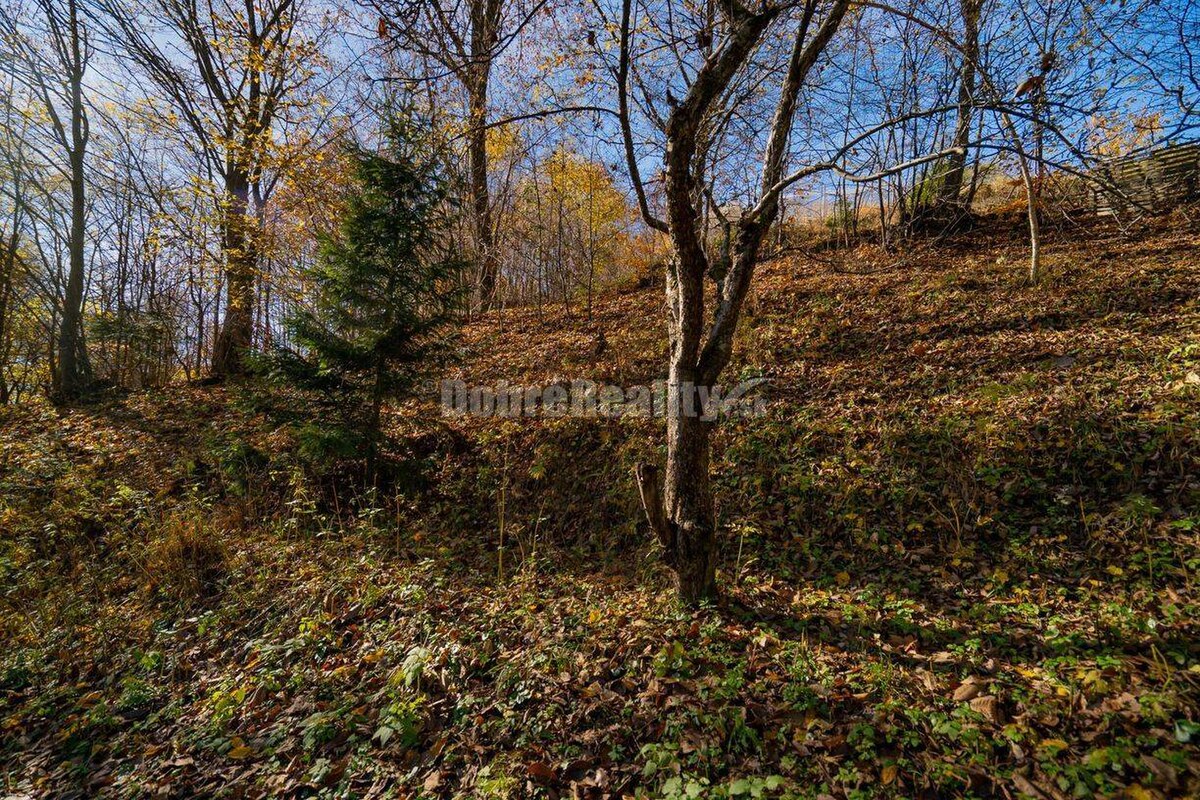 Tajuplná záhrada s jazierkom a banským potôčikom, 1927 m2, Špania Doli — foto 14