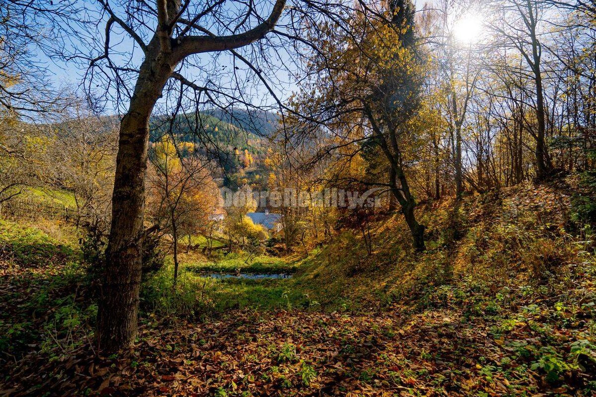 Tajuplná záhrada s jazierkom a banským potôčikom, 1927 m2, Špania Doli — foto 2