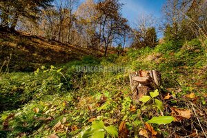Tajuplná záhrada s jazierkom a banským potôčikom, 1927 m2, Špania Doli — foto 11
