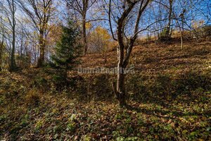 Tajuplná záhrada s jazierkom a banským potôčikom, 1927 m2, Špania Doli — foto 14