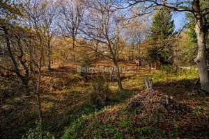 Tajuplná záhrada s jazierkom a banským potôčikom, 1927 m2, Špania Doli — foto 18