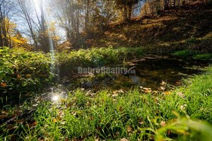 Tajuplná záhrada s jazierkom a banským potôčikom, 1927 m2, Špania Doli — foto 4