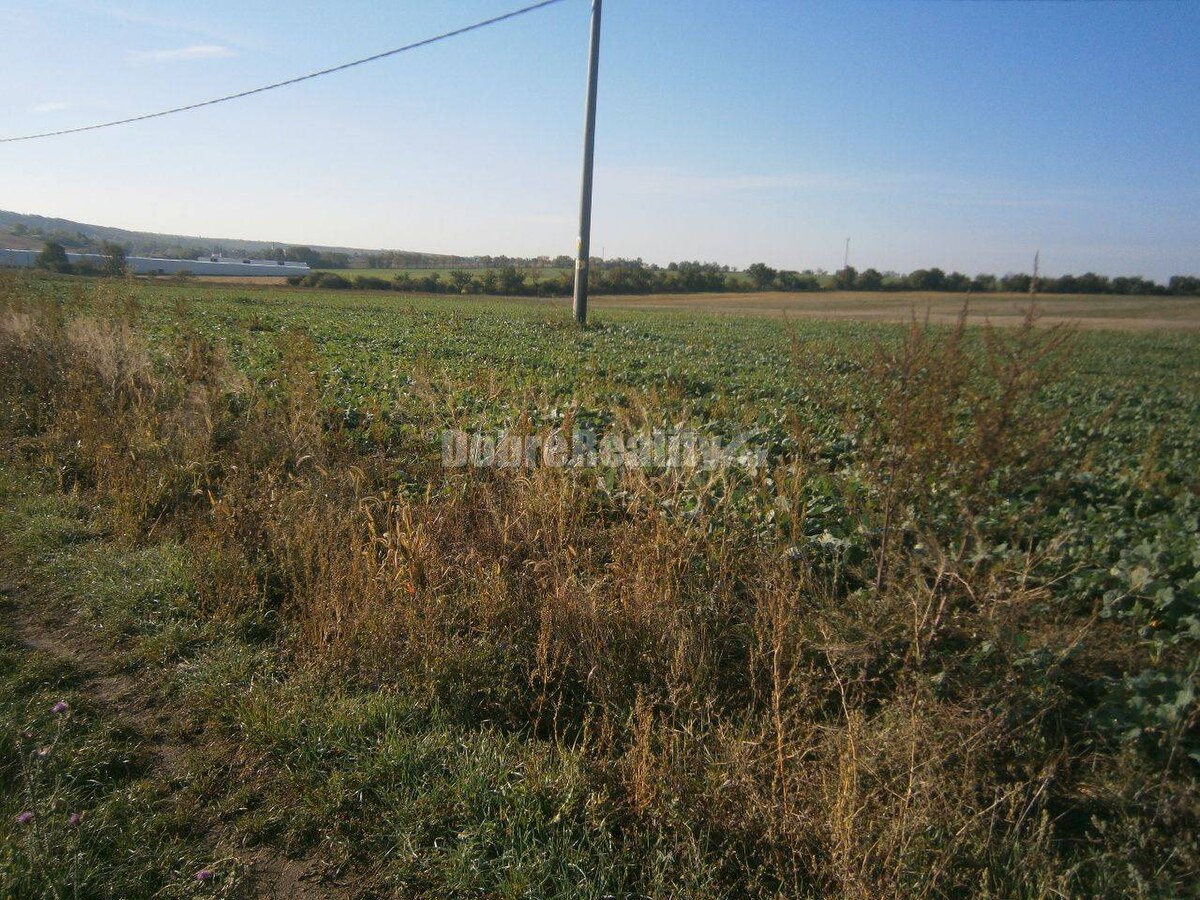 Predaj pozemku na bývanie, Rumanová, Rumanová, Nitra