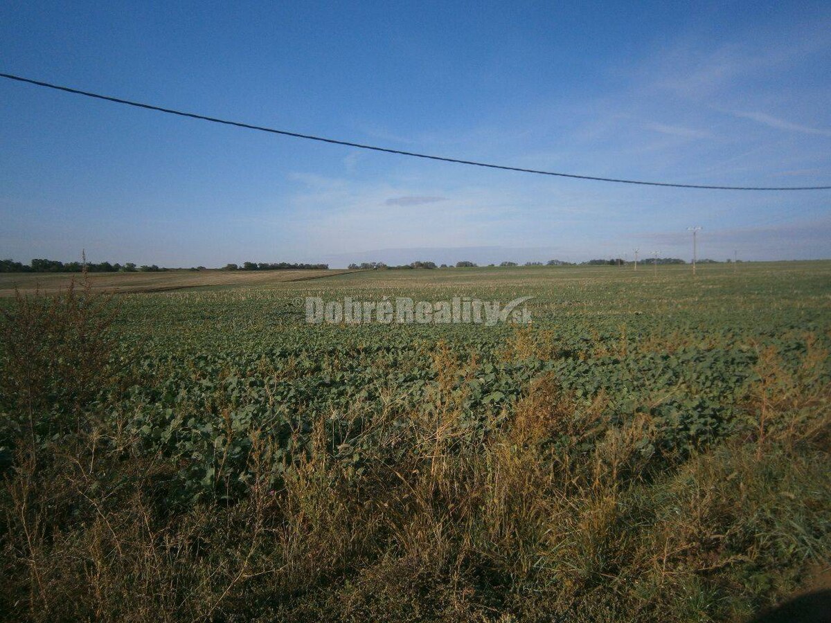 Predaj pozemku na bývanie, Rumanová, Rumanová, Nitra — foto 3