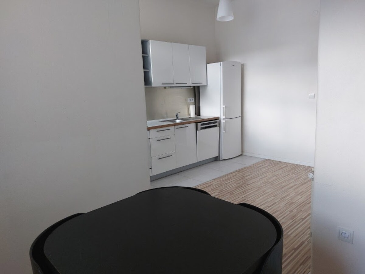 PRENÁJOM: VEĽKOMETRÁŽNY 2 IZBOVÝ BYT S 2 LOGGIAMI, CENTRUM — foto 11