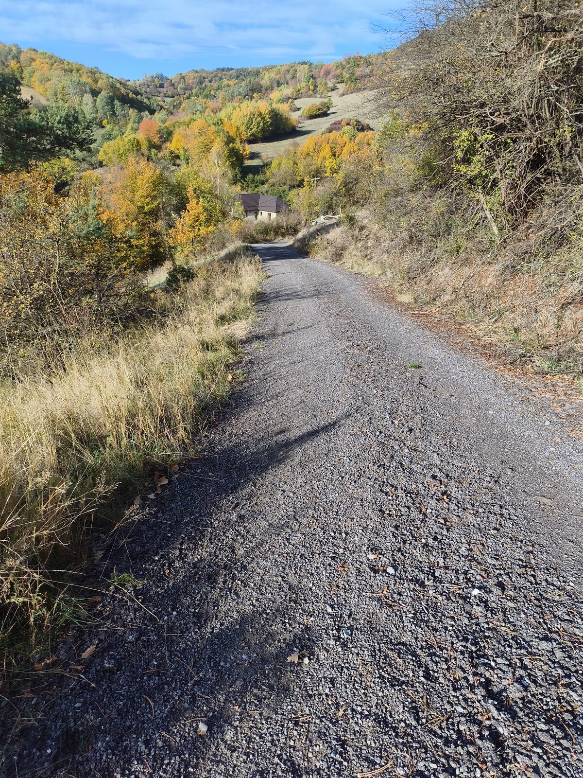 Pozemky na predaj v obci Župkov /okres Žarnovica/ — foto 11
