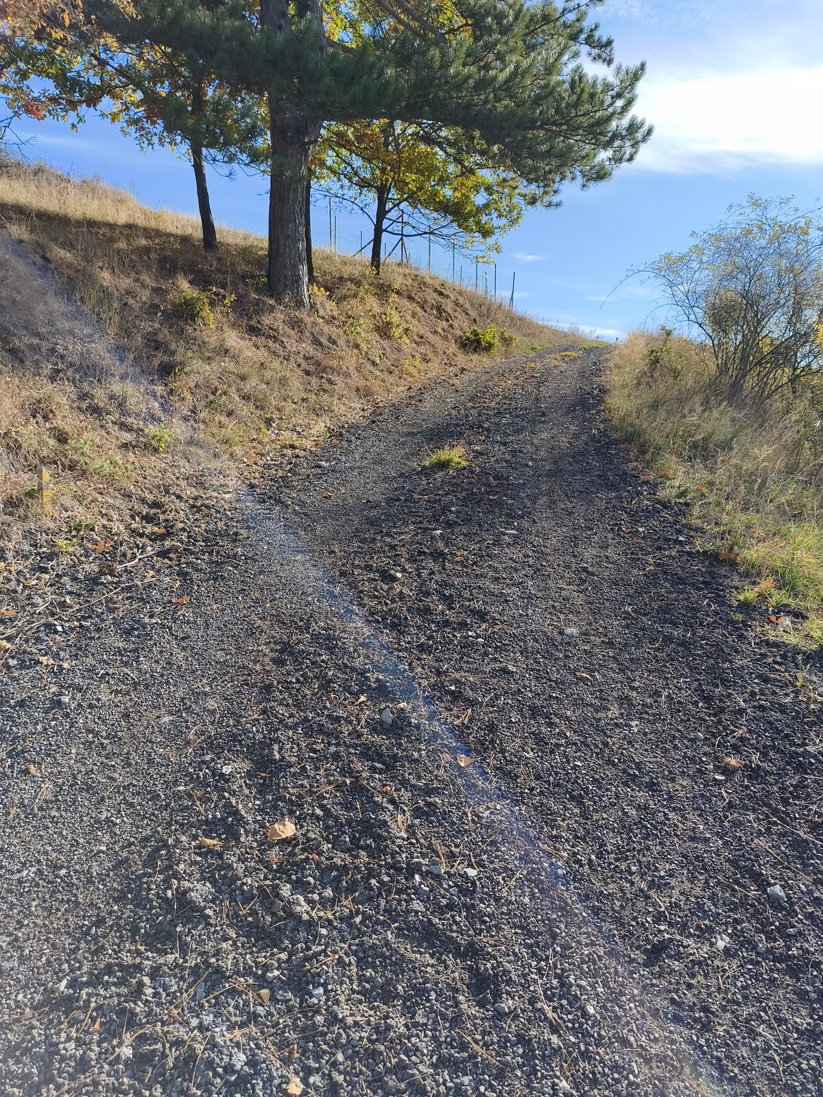 Pozemky na predaj v obci Župkov /okres Žarnovica/ — foto 12