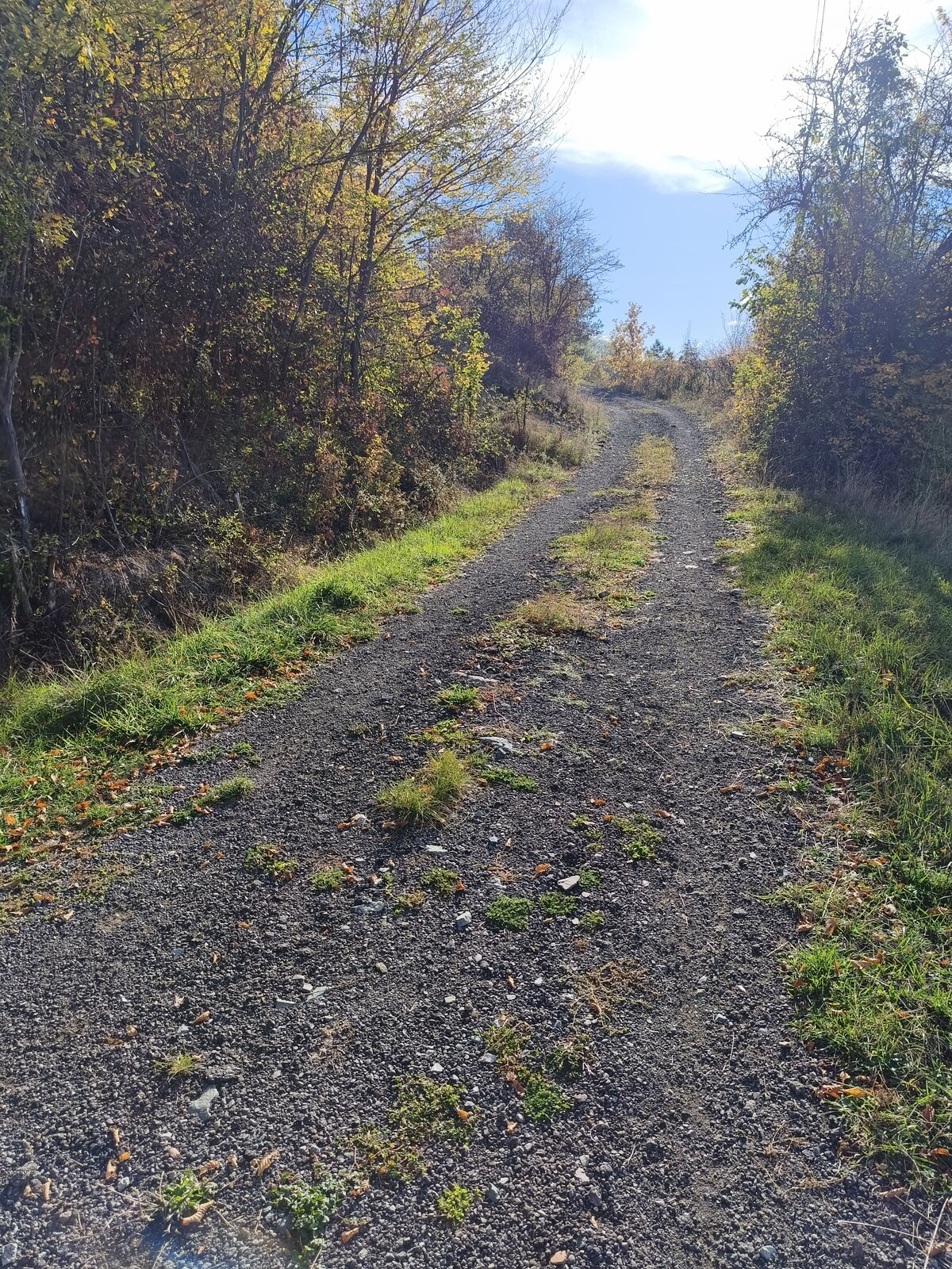Pozemky na predaj v obci Župkov /okres Žarnovica/ — foto 13