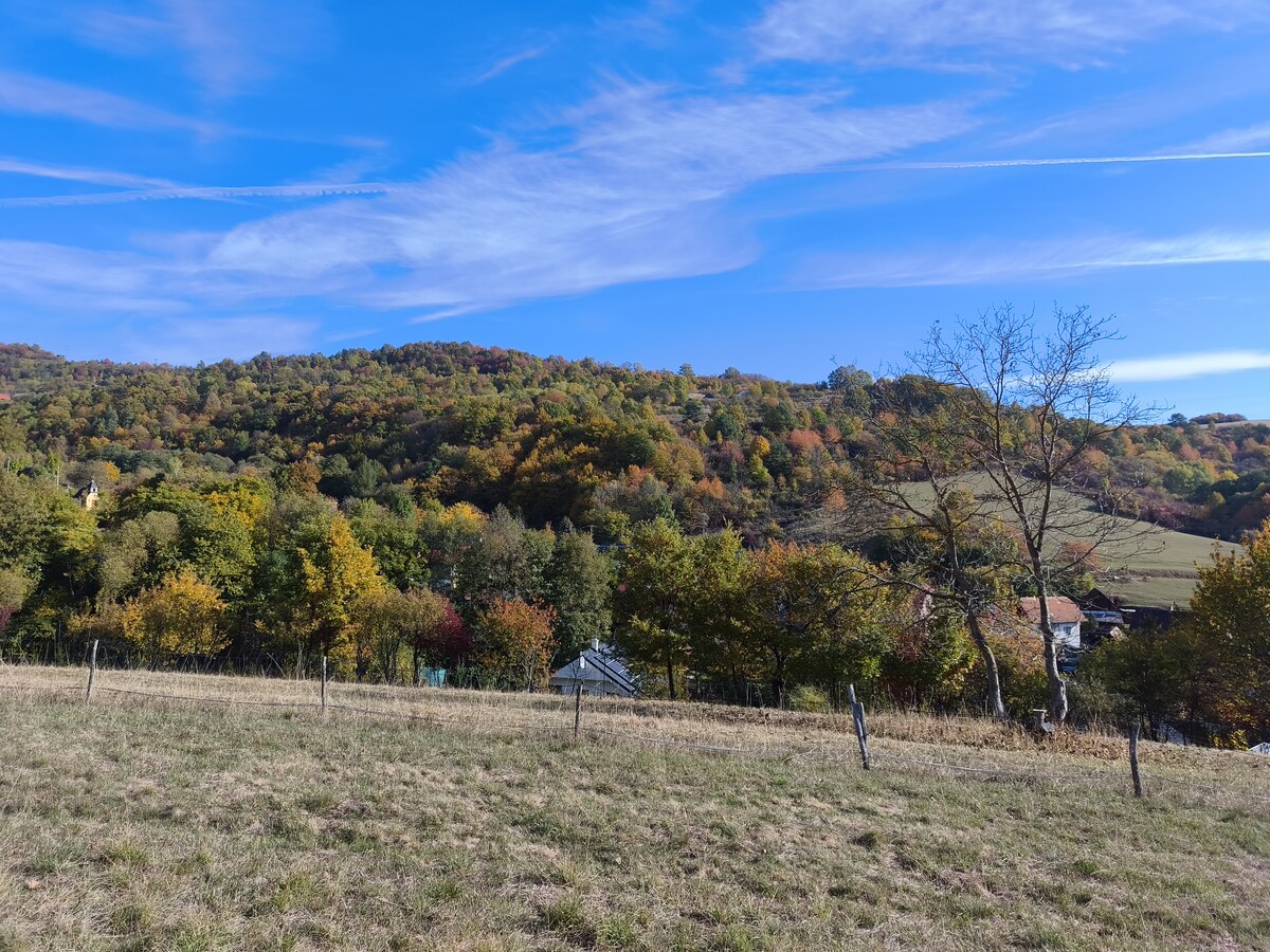 Pozemky na predaj v obci Župkov /okres Žarnovica/ — foto 18