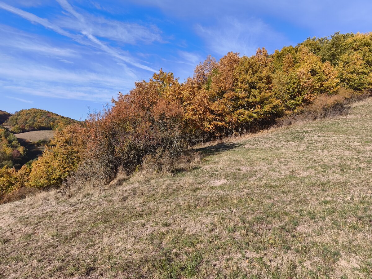 Pozemky na predaj v obci Župkov /okres Žarnovica/ — foto 6