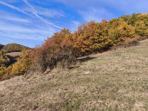 Pozemky na predaj v obci Župkov /okres Žarnovica/ — foto 6