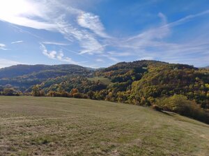 Pozemky na predaj v obci Župkov /okres Žarnovica/ — foto 7