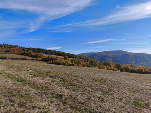 Pozemky na predaj v obci Župkov /okres Žarnovica/ — foto 9