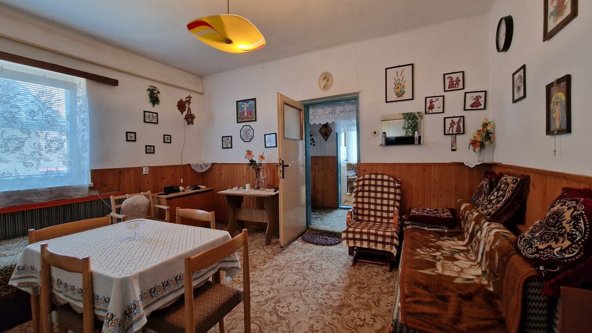 Rodinný dom s pozemkom 1857 m² v tichej uličke obce Zemplínsky Branč — foto 7