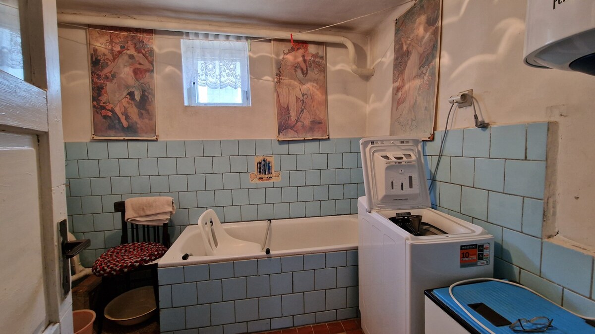 Rodinný dom s pozemkom 1857 m² v tichej uličke obce Zemplínsky Branč — foto 8