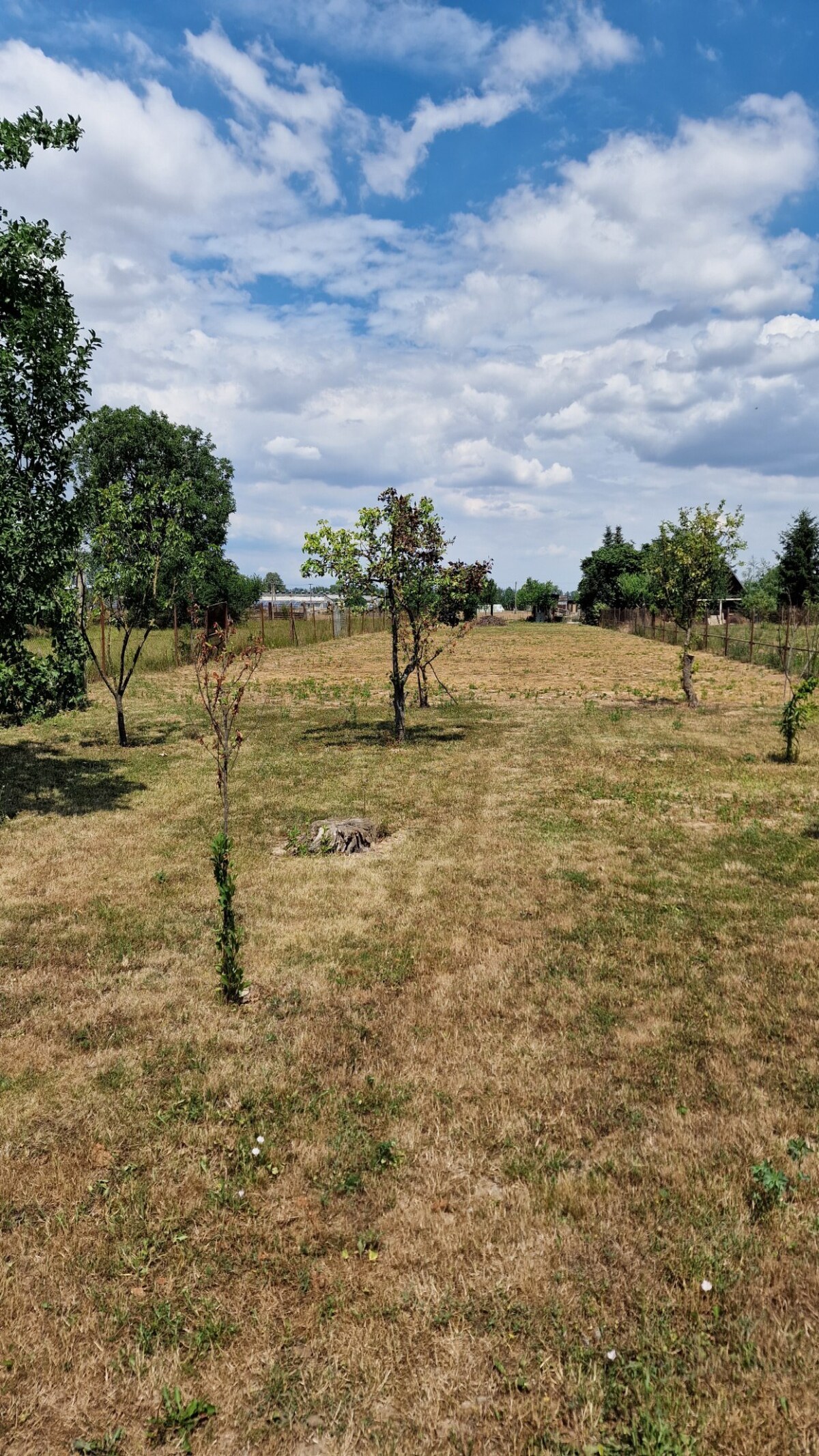 Rodinný dom s pozemkom 1857 m² v tichej uličke obce Zemplínsky Branč — foto 9